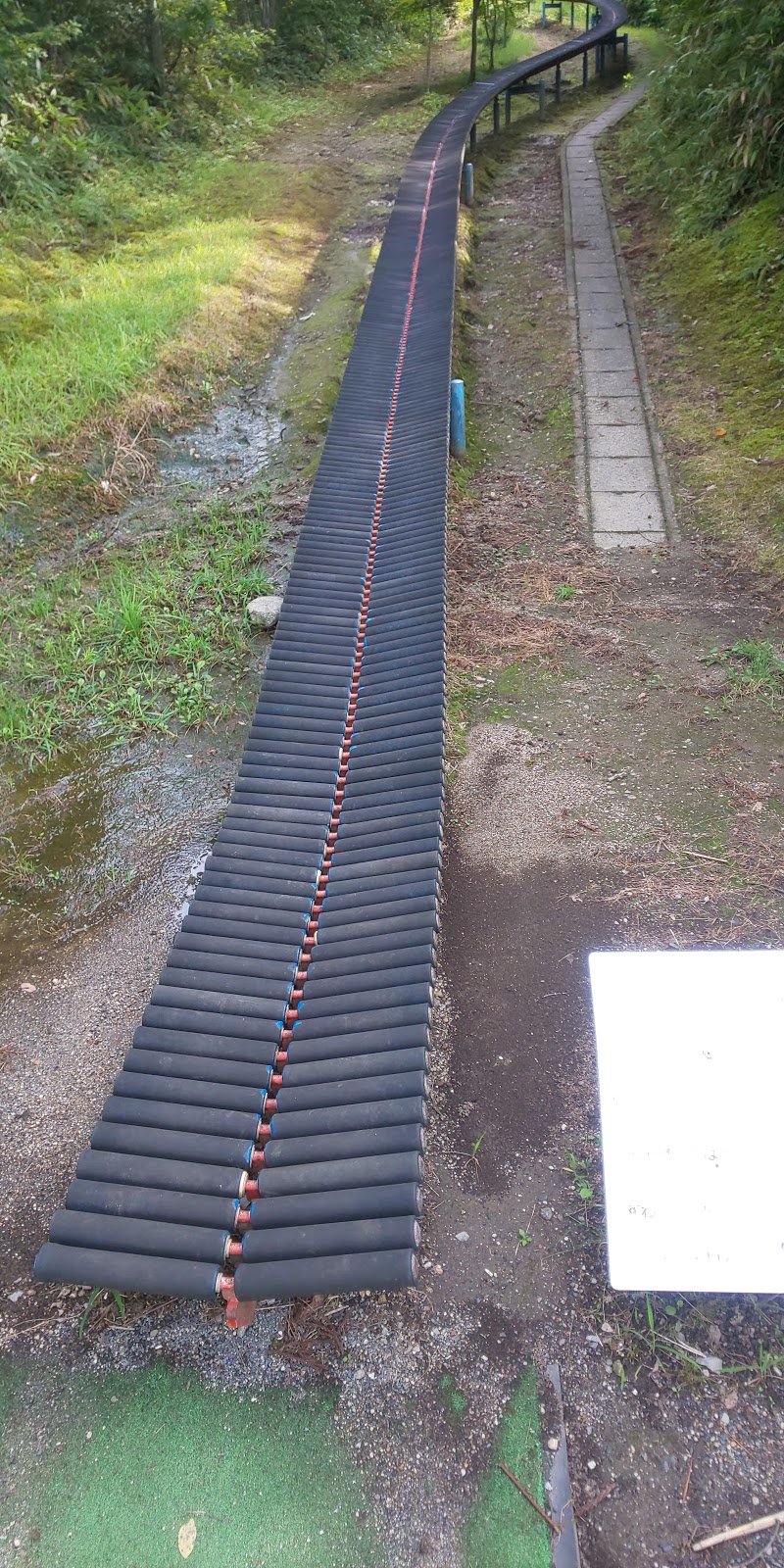 真木山中央公園 新潟県新発田市乙次 公園 グルコミ