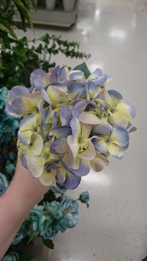 Craft Store «Michaels», reviews and photos, 6717 Spring Mall Dr, Springfield, VA 22150, USA