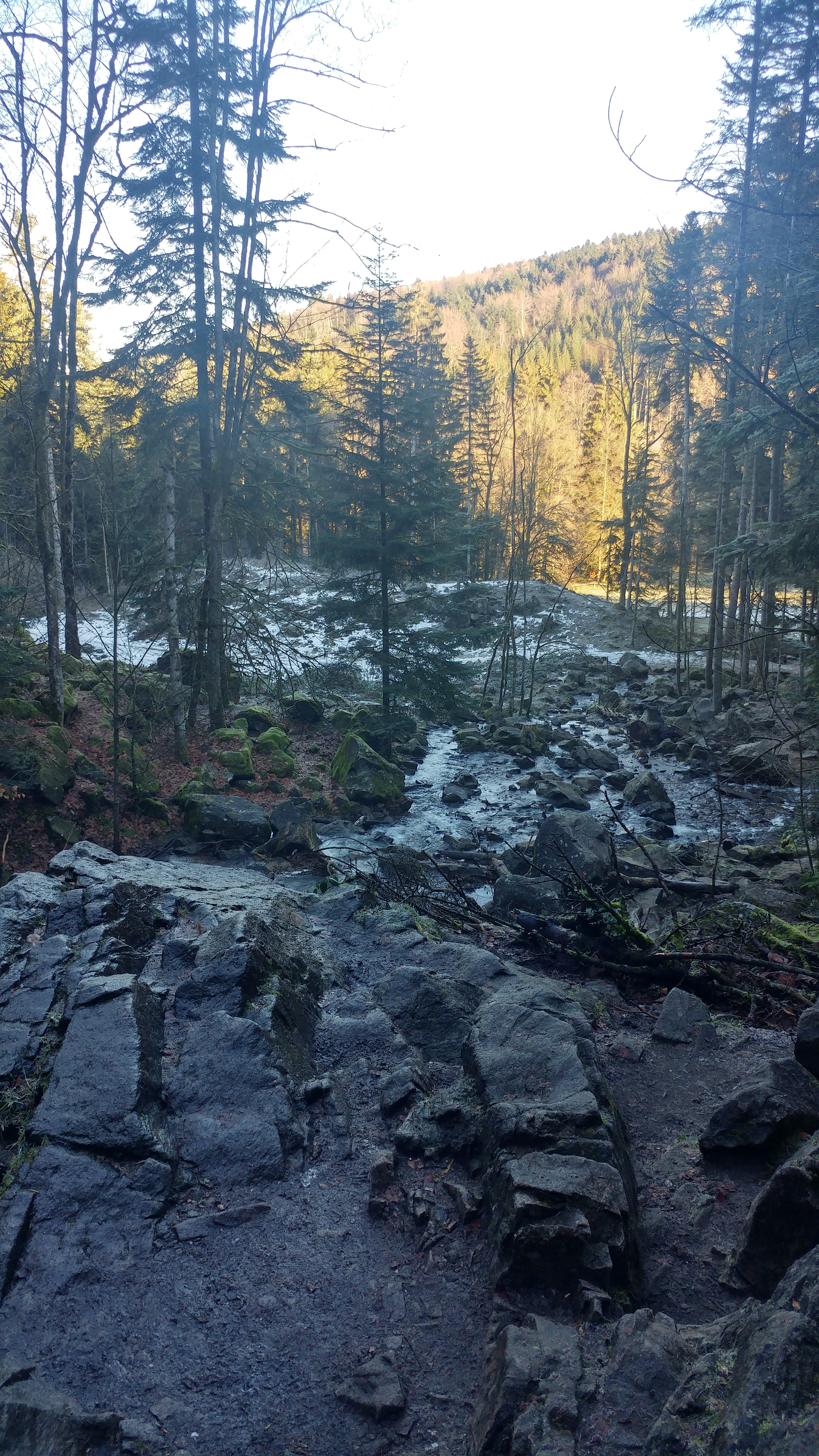 Photo n° 5 de l'avis de Peggy.e fait le 14/02/2019 à 09:36