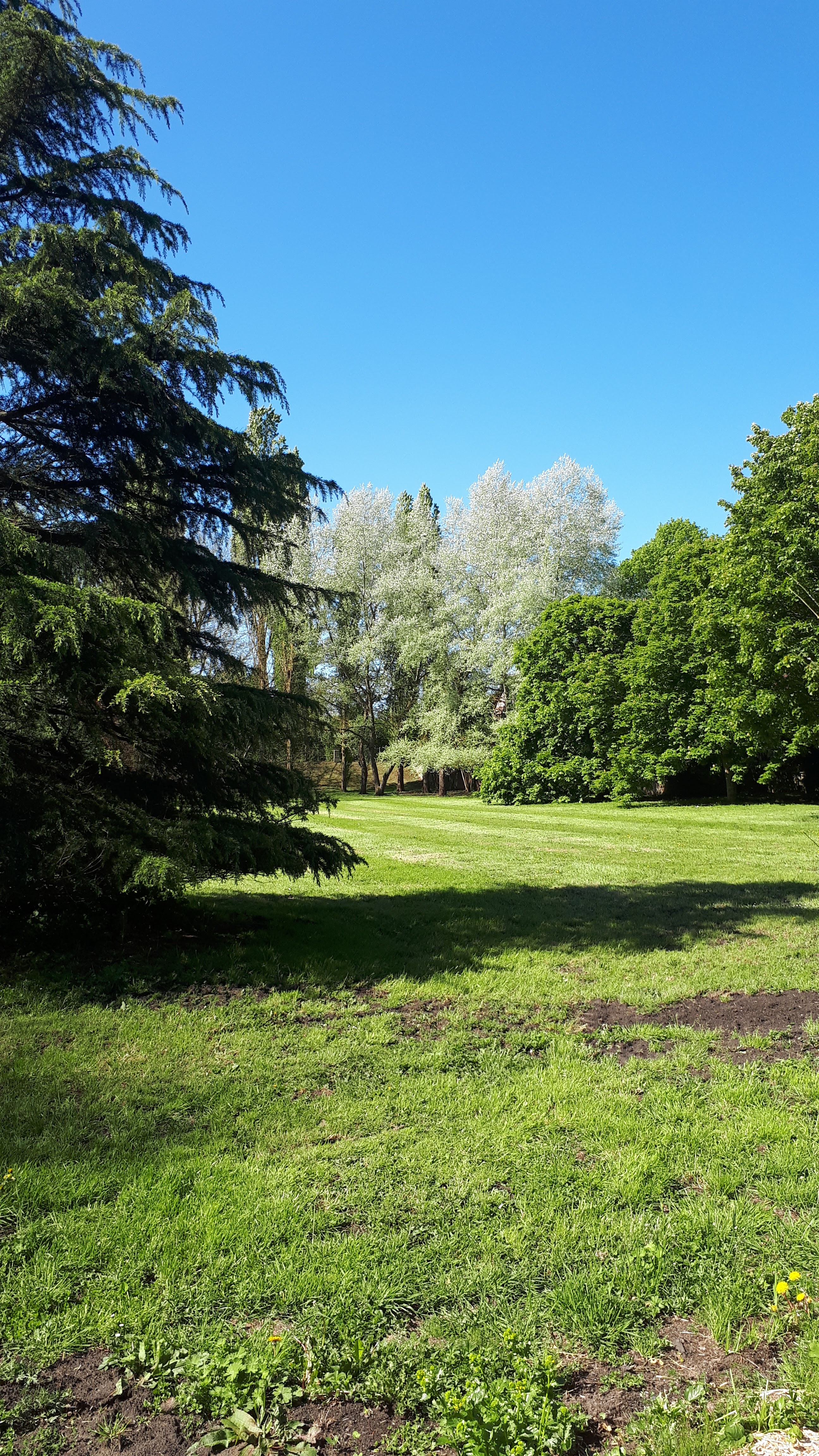 Photo n° 6 de l'avis de Frederic.e fait le 12/05/2019 à 10:55
