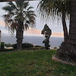 Photo n°8 de l'avis de Zuzana.o fait le 04/12/2023 à 13:04 sur le  Hotel Madeira Panorâmico à Funchal