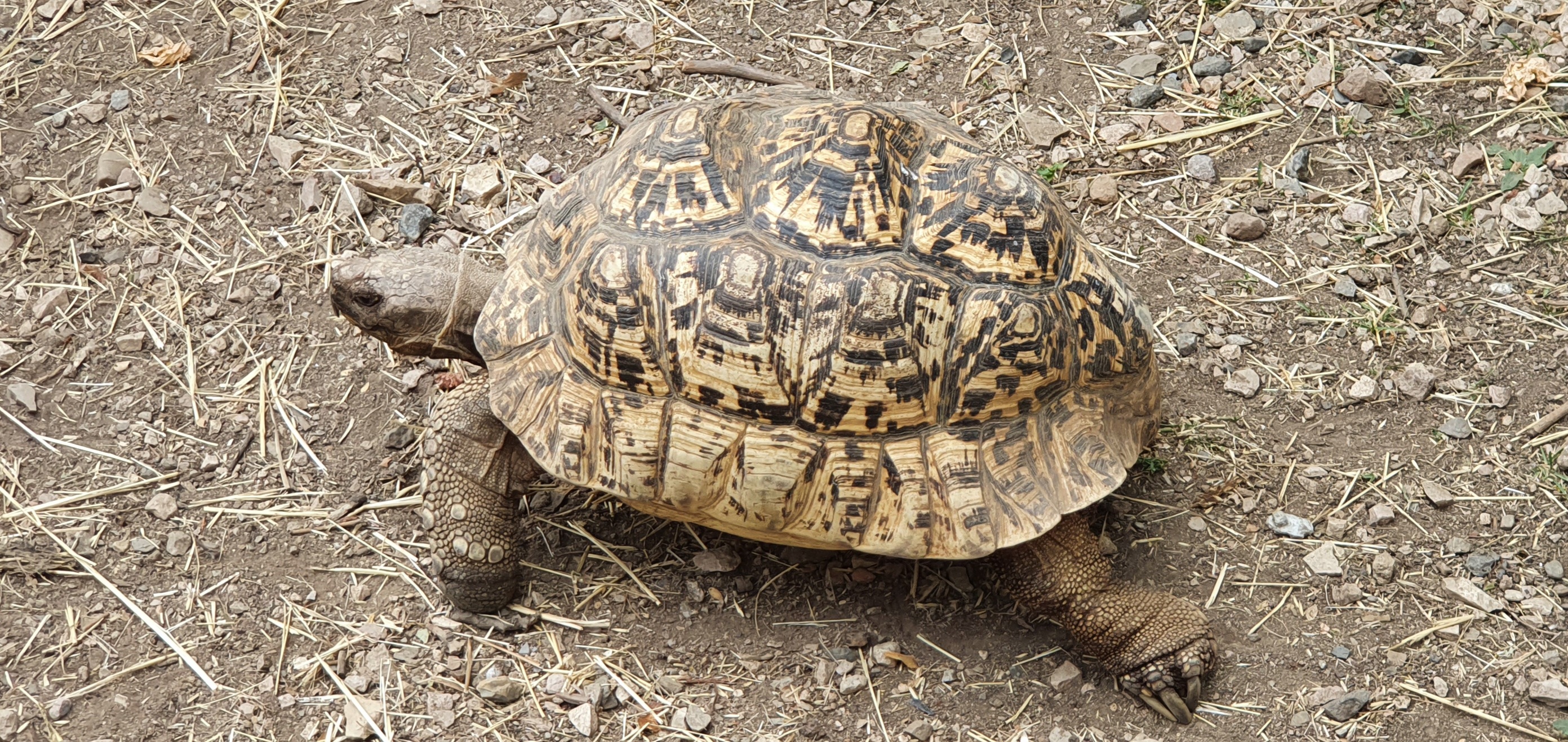 Photo n° 24 de l'avis de Laëtitia.E fait le 25/07/2020 à 00:11