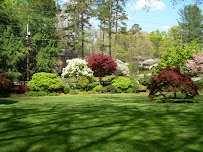 King GREEN - Photo 3 - Car repair in Gainesville, GA, Gainesville