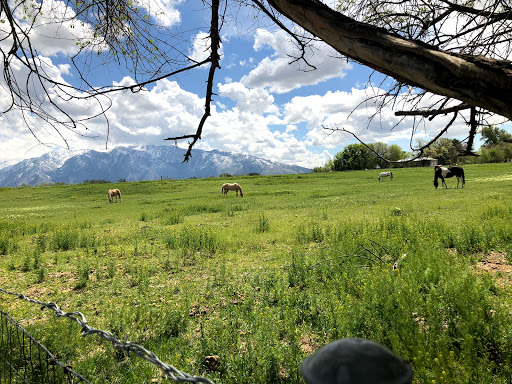 Botanical Garden «Conservation Garden Park», reviews and photos, 8275 1300 W, West Jordan, UT 84088, USA