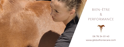 Léa Montero - Masseur Naturopathe chevaux chiens chats à Tourves