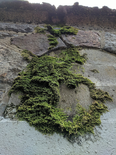 Park «Franklin Park», reviews and photos, 1 Franklin Park Rd, Boston, MA 02121, USA