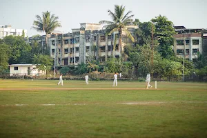 Badlapur Pro Athletes cricket Sports Foundation, Mentor by Rohan Raje (IPL and Mumbai Ranji Player) image