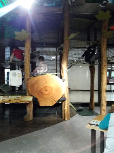 Science Museum «Asheville Museum of Science», reviews and photos, 43 Patton Ave, Asheville, NC 28801, USA