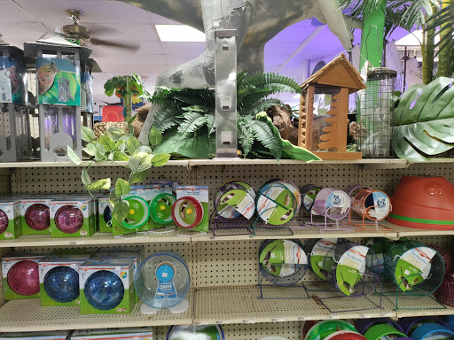 Pet Store «Forever Pets Inc», reviews and photos, 1030 Basse Rd, San Antonio, TX 78212, USA