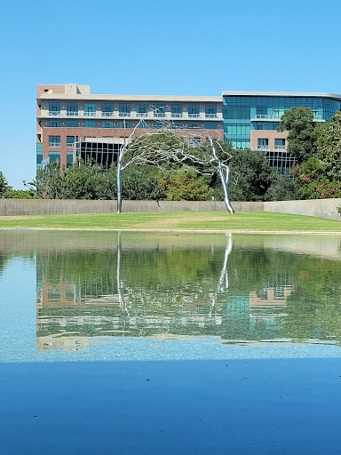 Modern Art Museum of Fort Worth image 10