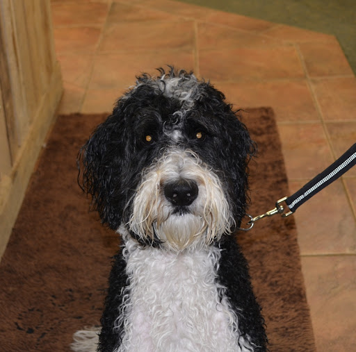 Pet Supply Store «The Natural Pet Enrichment Center», reviews and photos, 6720 Royalton Rd, North Royalton, OH 44133, USA