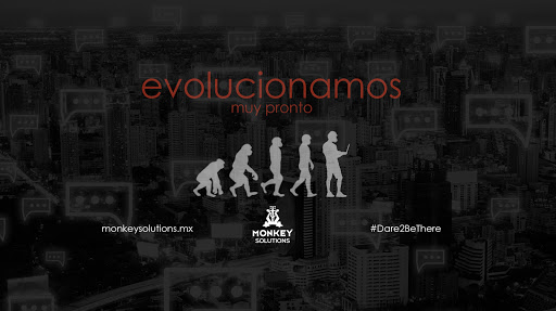 Monkey Solutions Agencia de Marketing Digital en México