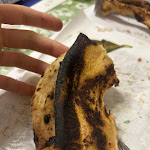 Photo n°1 de l'avis de Daniele.a fait le 20/01/2024 à 22:16 sur le  Pizzeria '94 à Nocera Inferiore