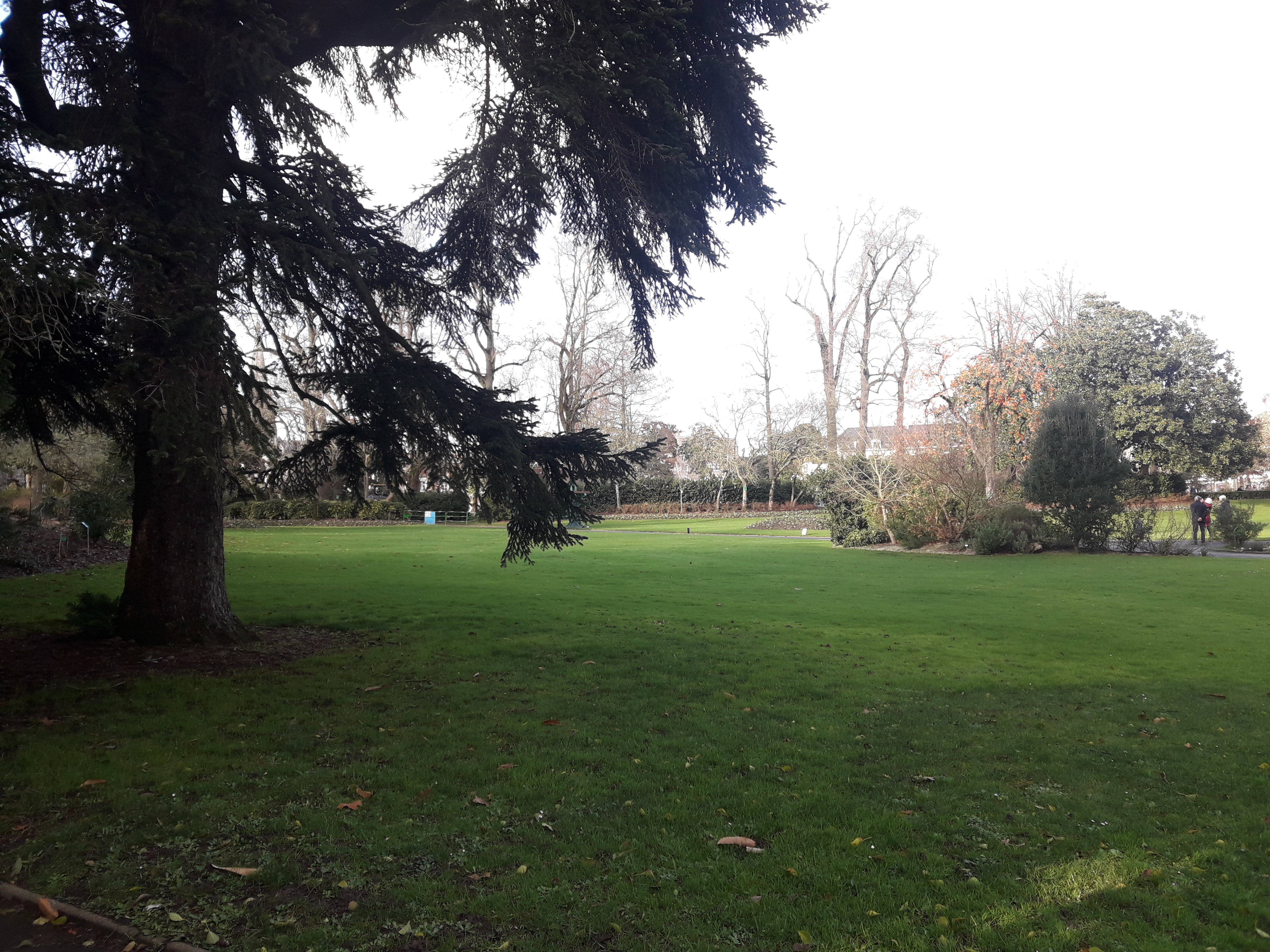 Photo n° 14 de l'avis de Barencourt.e fait le 15/12/2019 à 18:39