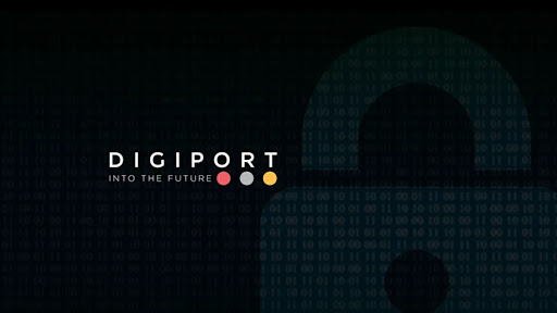 DIGIPORT TECHNOLOGIES LLC