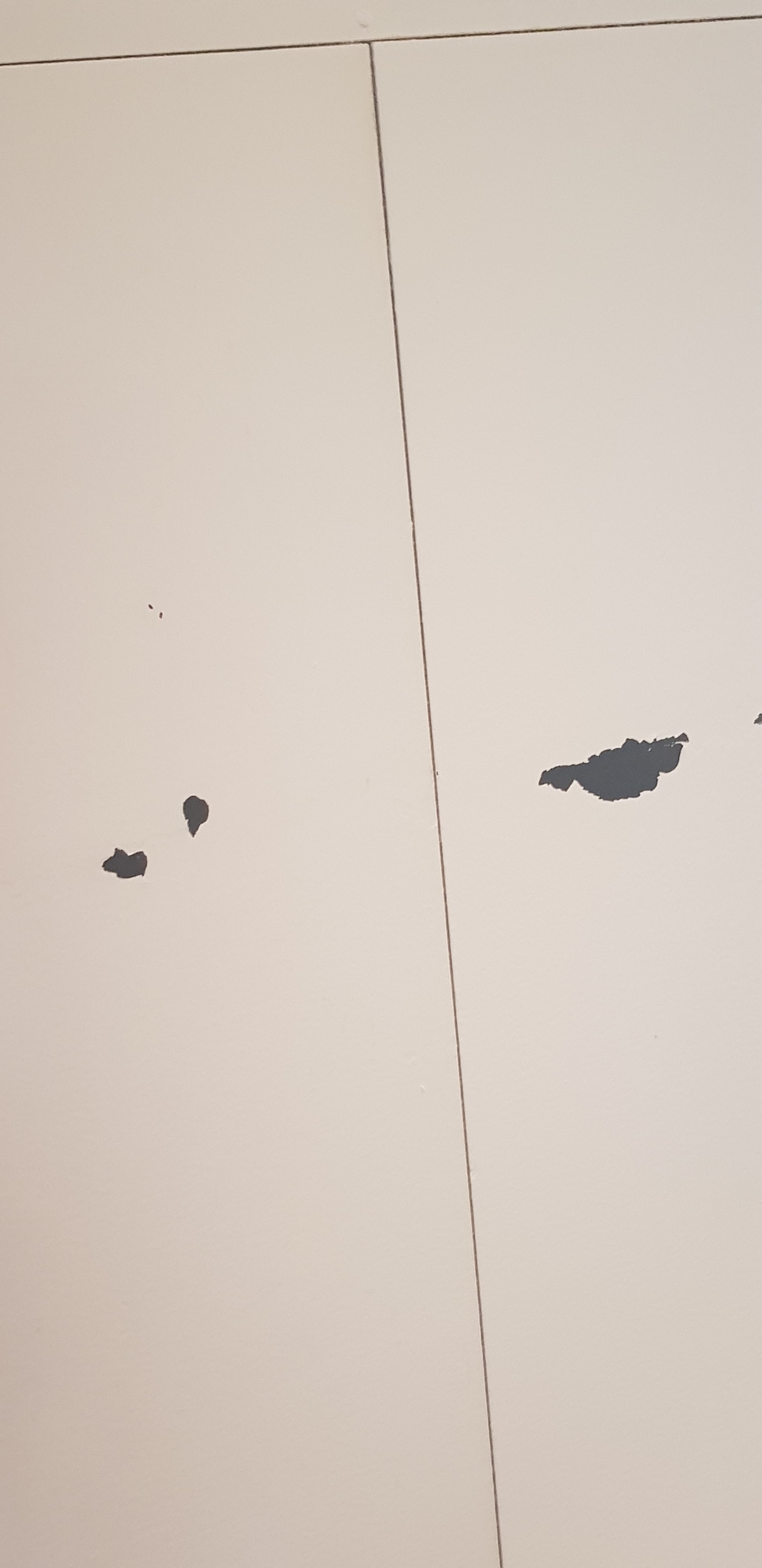 Photo n° 2 de l'avis de Delphine.o fait le 22/02/2020 à 13:42