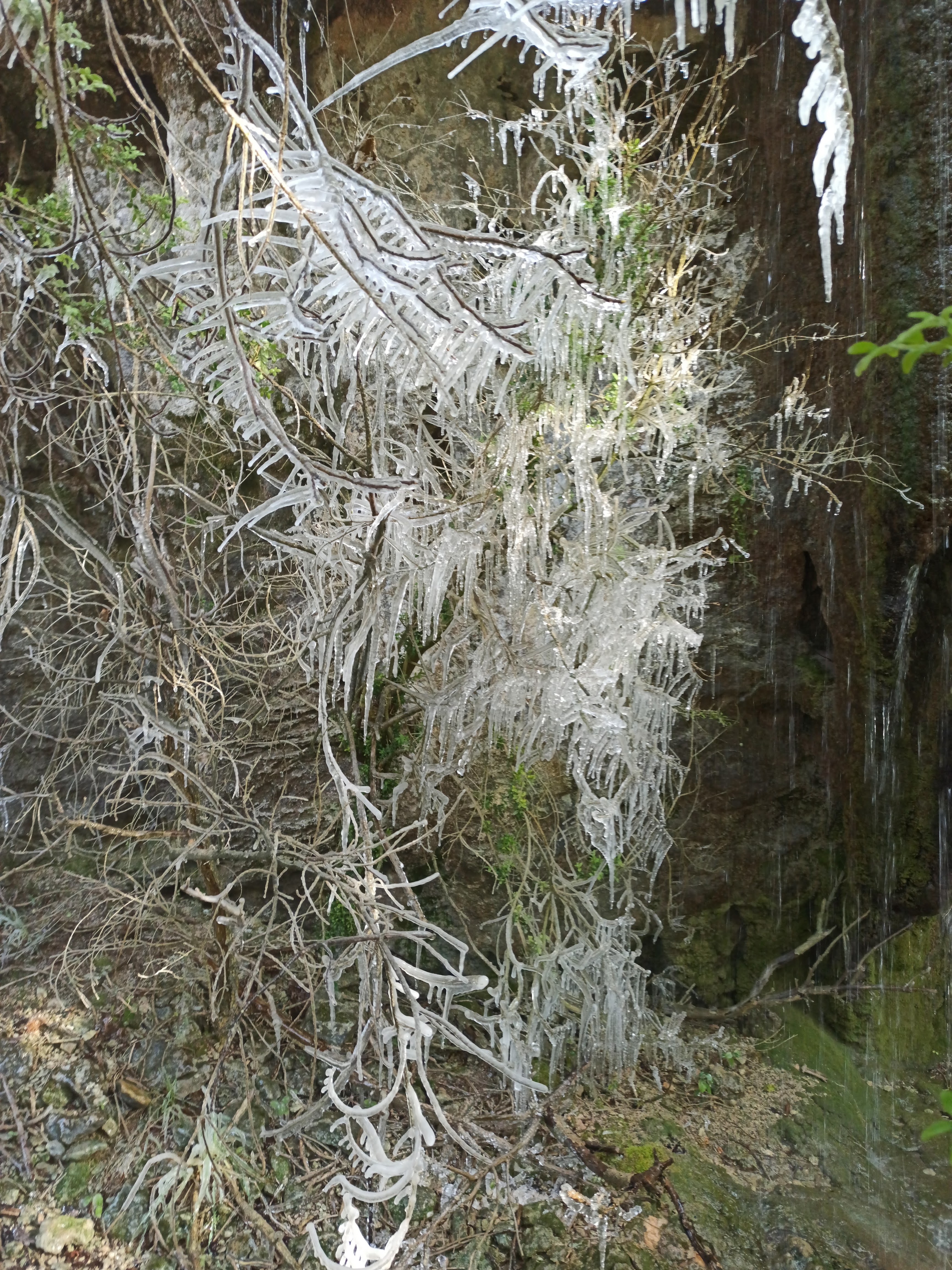 Photo n° 16 de l'avis de Veltas. fait le 30/10/2019 à 11:55