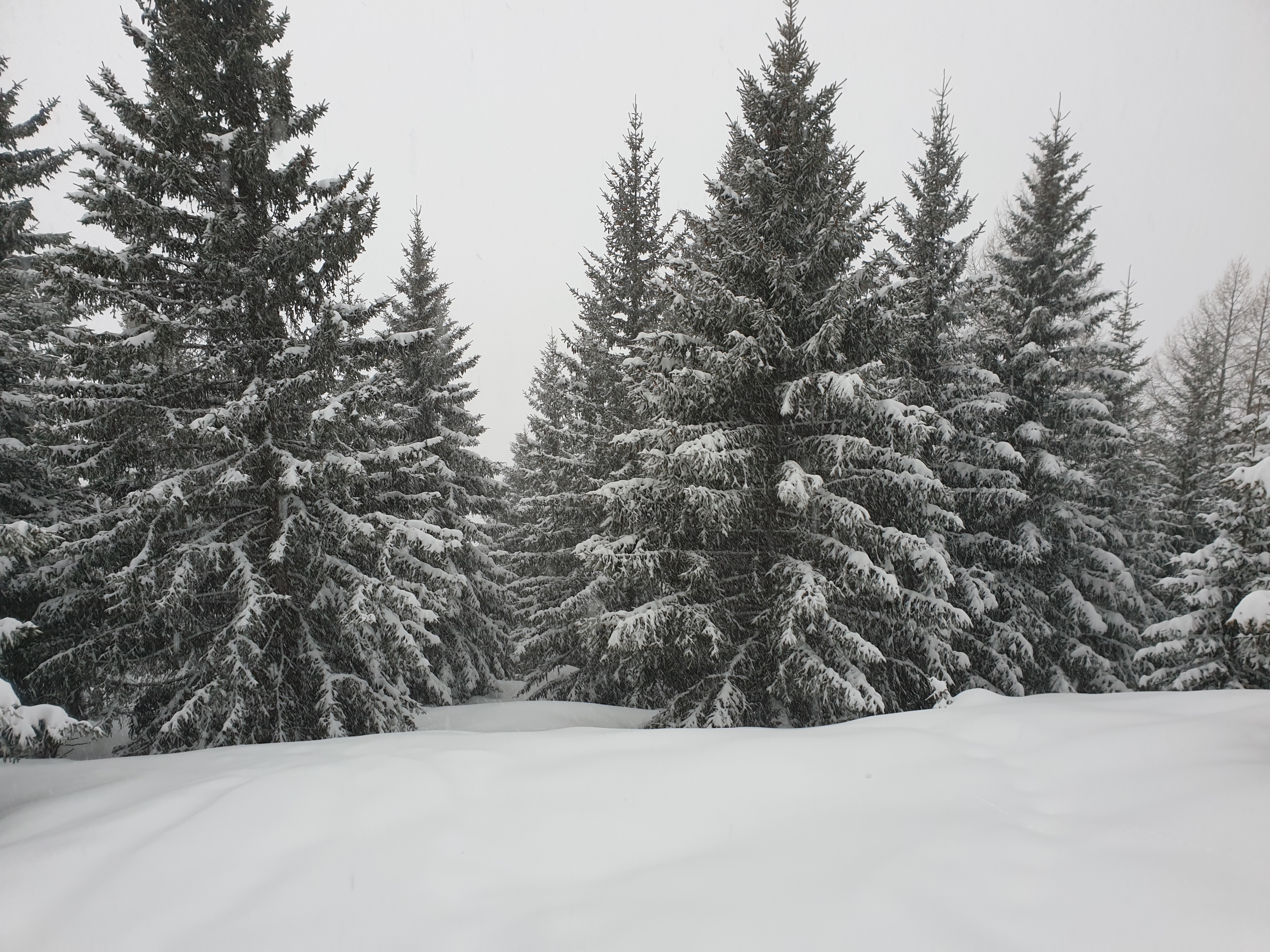 Photo n° 2 de l'avis de Nolwen.a fait le 28/01/2020 à 17:39