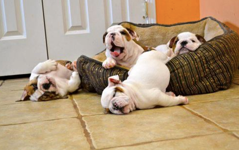 Day Spa «California Skin Care & Day Spa», reviews and photos, 6180 Jarvis Ave, Newark, CA 94560, USA