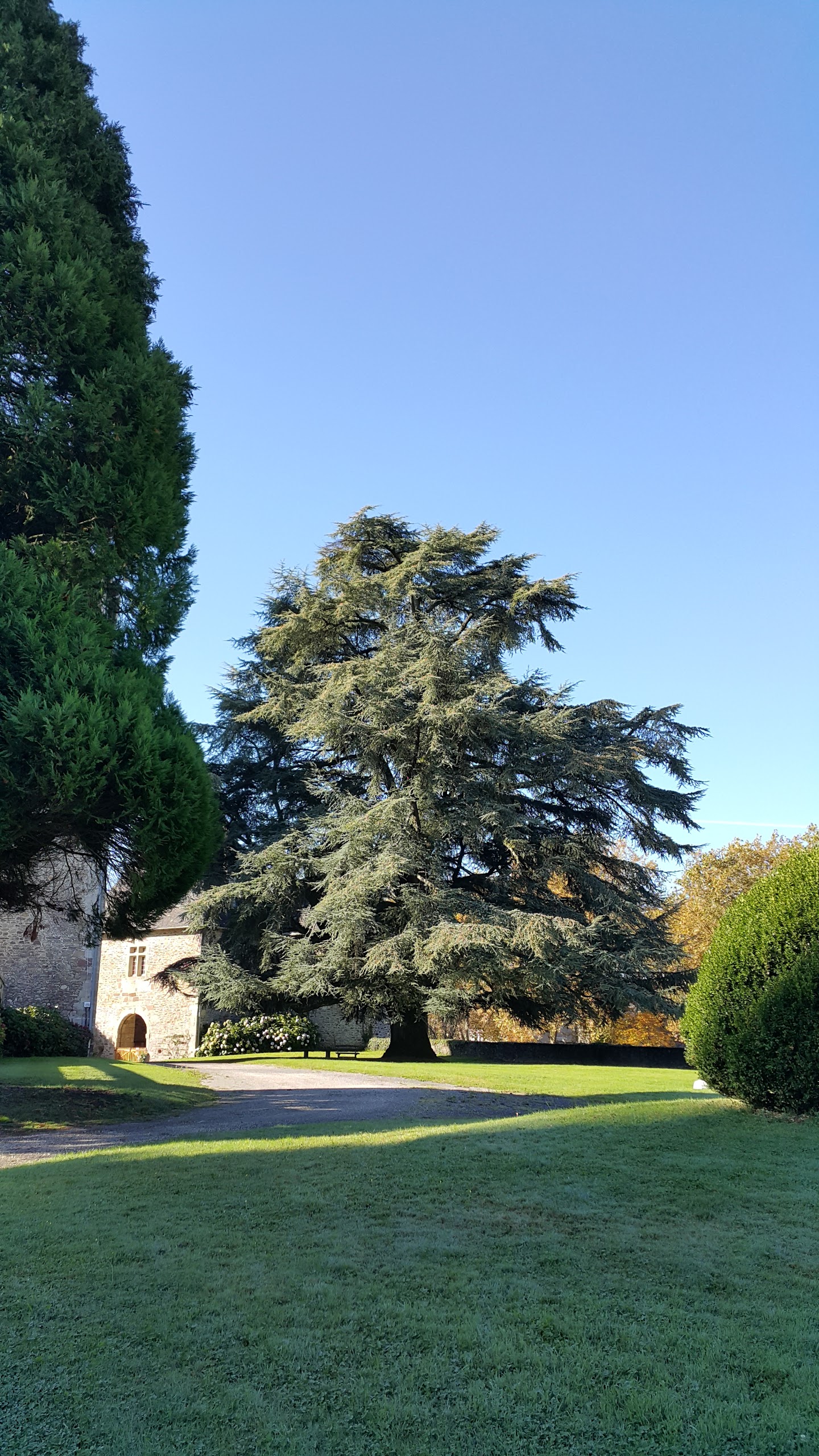 Photo n° 31 de l'avis de Mariola.Y fait le 01/10/2017 à 06:44