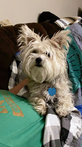 Pet Supply Store «PetSmart», reviews and photos, 14290 Plymouth Ave, Burnsville, MN 55337, USA