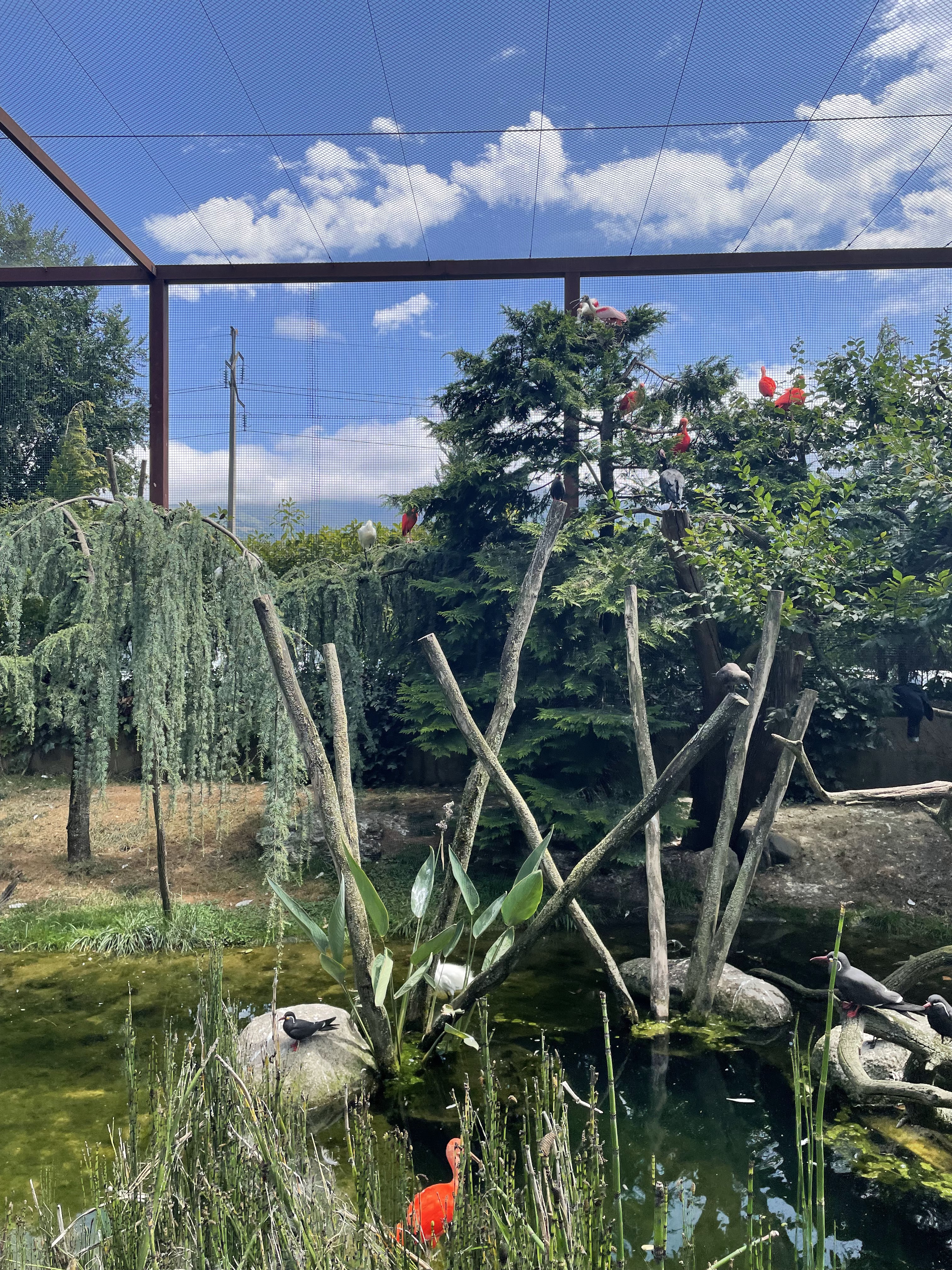 Photo n° 48 de l'avis de Gregory.G fait le 01/08/2022 à 10:31