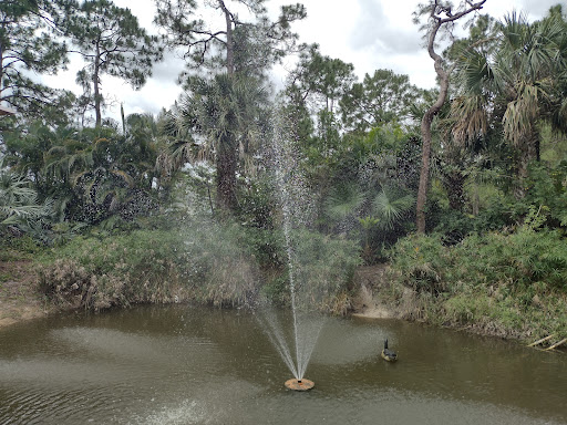 Animal Rescue Service «McCarthys Wildlife Sanctuary», reviews and photos, 12943 61st St N, West Palm Beach, FL 33412, USA