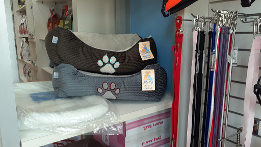 Pet Store «South Beach Pet Shop», reviews and photos, 634 6th St, Miami Beach, FL 33139, USA