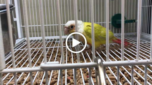 Pet Supply Store «Pet Supplies Plus», reviews and photos, 1661 Easton Rd #81, Warrington, PA 18976, USA