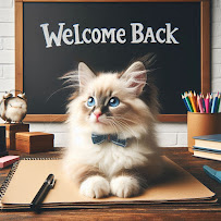 Casselberry Pet Lady - Photo 1 - Car repair in , Deltona