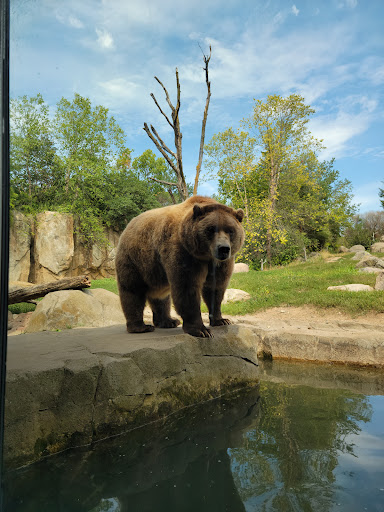 Zoo «Minnesota Zoo», reviews and photos, 13000 Zoo Blvd, Apple Valley, MN 55124, USA