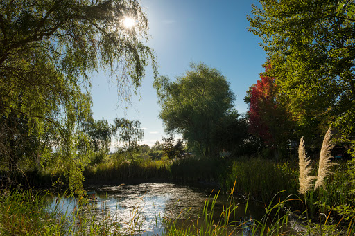 Vineyard «Keeler Estate Vineyard», reviews and photos, 5100 SE Rice Ln, Amity, OR 97101, USA