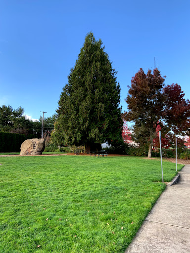 Park «Orchard Park», reviews and photos, 20900 NW Amberwood Dr, Hillsboro, OR 97124, USA