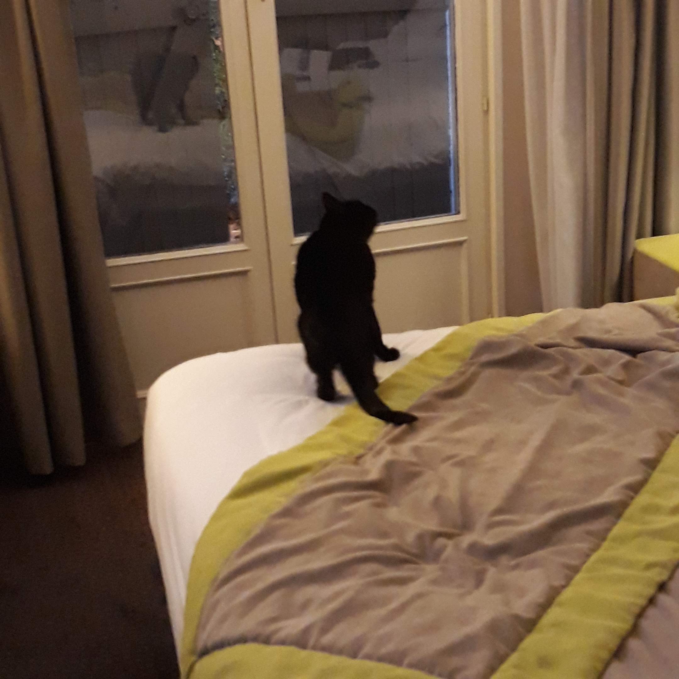 Photo n° 5 de l'avis de Jluc.r fait le 13/10/2019 à 11:46