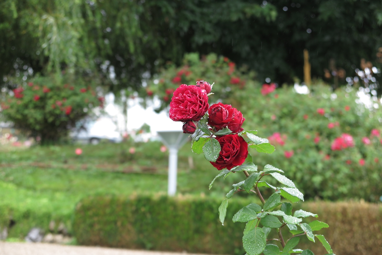 Photo n° 5 de l'avis de JooHee.A fait le 22/08/2018 à 13:50