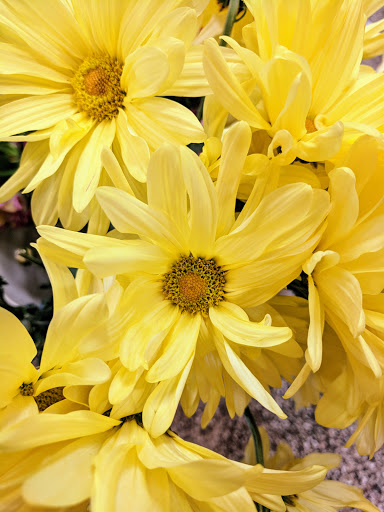 Florist «Tiger Lily Floral», reviews and photos, 700 E Sahara Ave, Las Vegas, NV 89135, USA