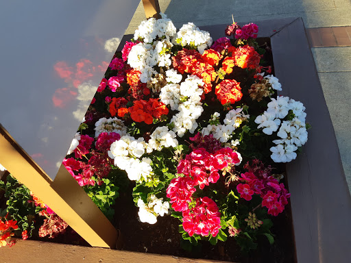 Clothing Store «Gap», reviews and photos, 35 University Ave, Los Gatos, CA 95030, USA