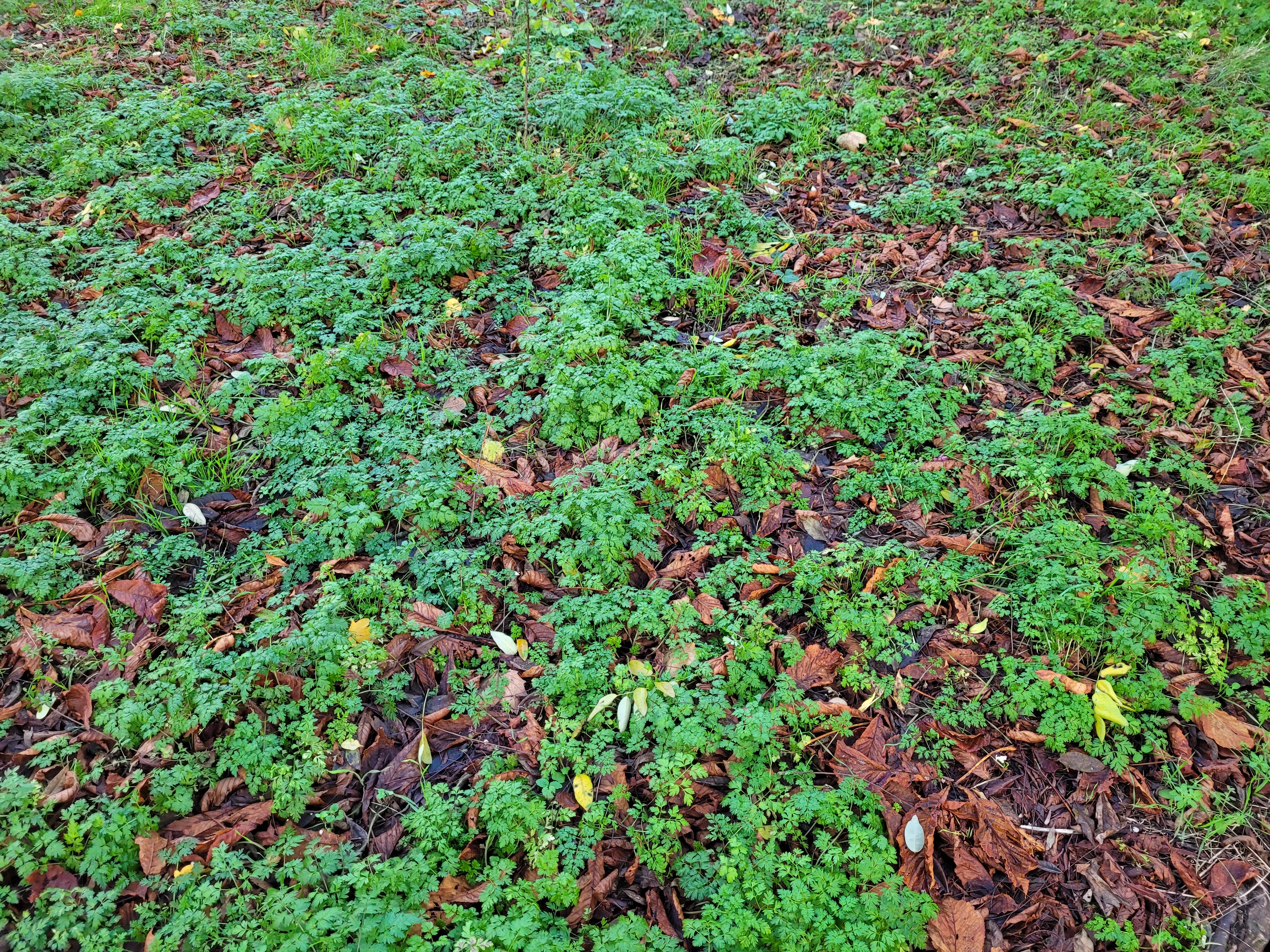 Photo n° 25 de l'avis de ernest.o fait le 17/08/2018 à 17:20