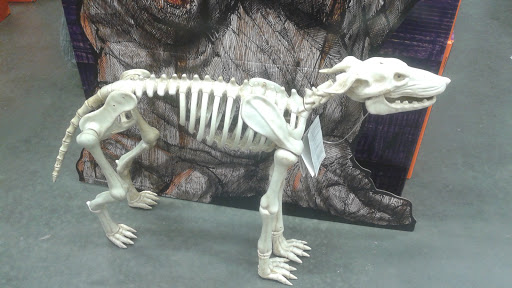 Home Improvement Store «The Home Depot», reviews and photos, 4038 S Port Ave, Corpus Christi, TX 78415, USA