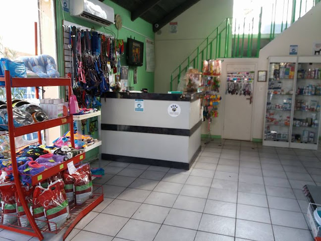 Clínica Veterinaria Tierra Animal - La Serena