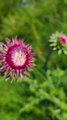 Public Golf Course «Little Bennett Golf Course», reviews and photos, 25900 Prescott Rd, Clarksburg, MD 20871, USA