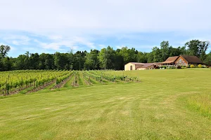 Buttonwood Grove Winery image