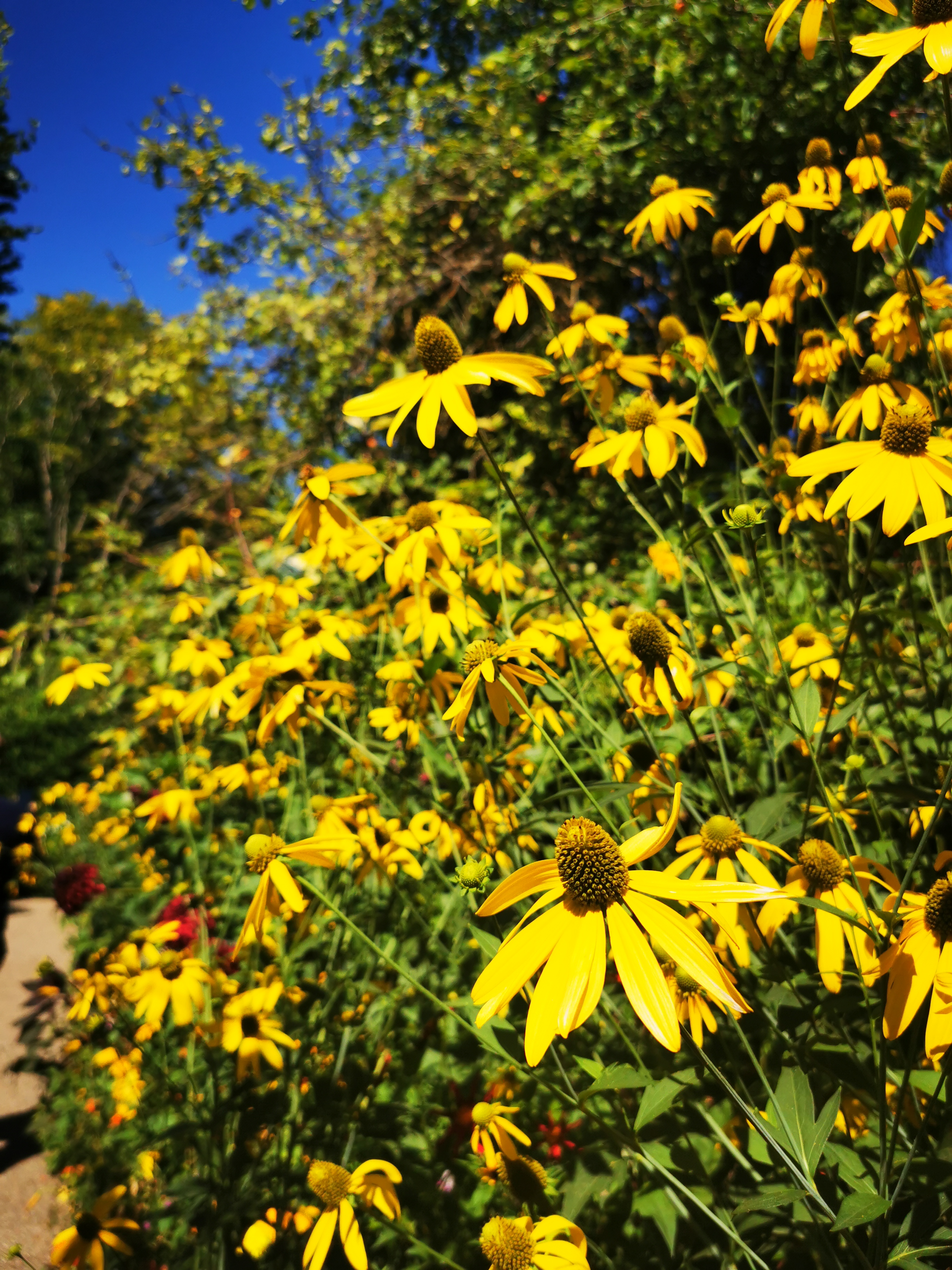 Photo n° 6 de l'avis de ASMA.A fait le 16/08/2022 à 18:29