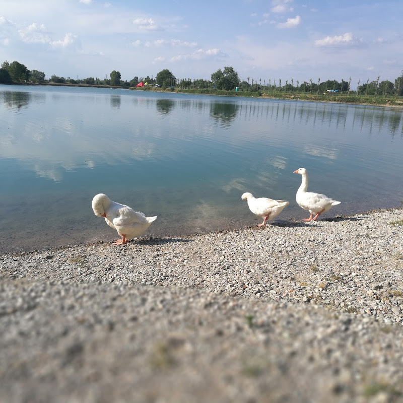 Lago dei Cigni