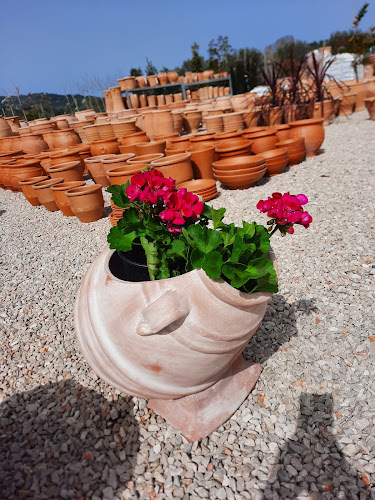 Σχόλια και κριτικές για το Garden Center il fiore