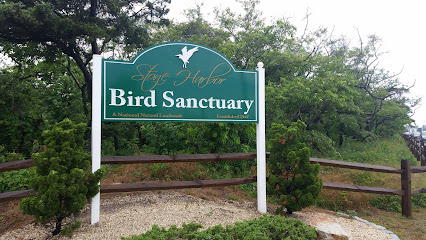 Stone Harbor Bird Sanctuary
