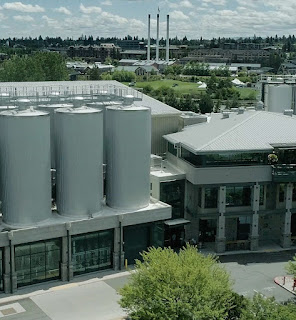 Brewing tanks in a taproom