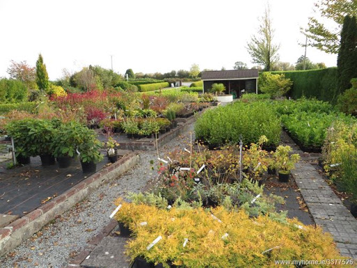 Bunaterin Garden