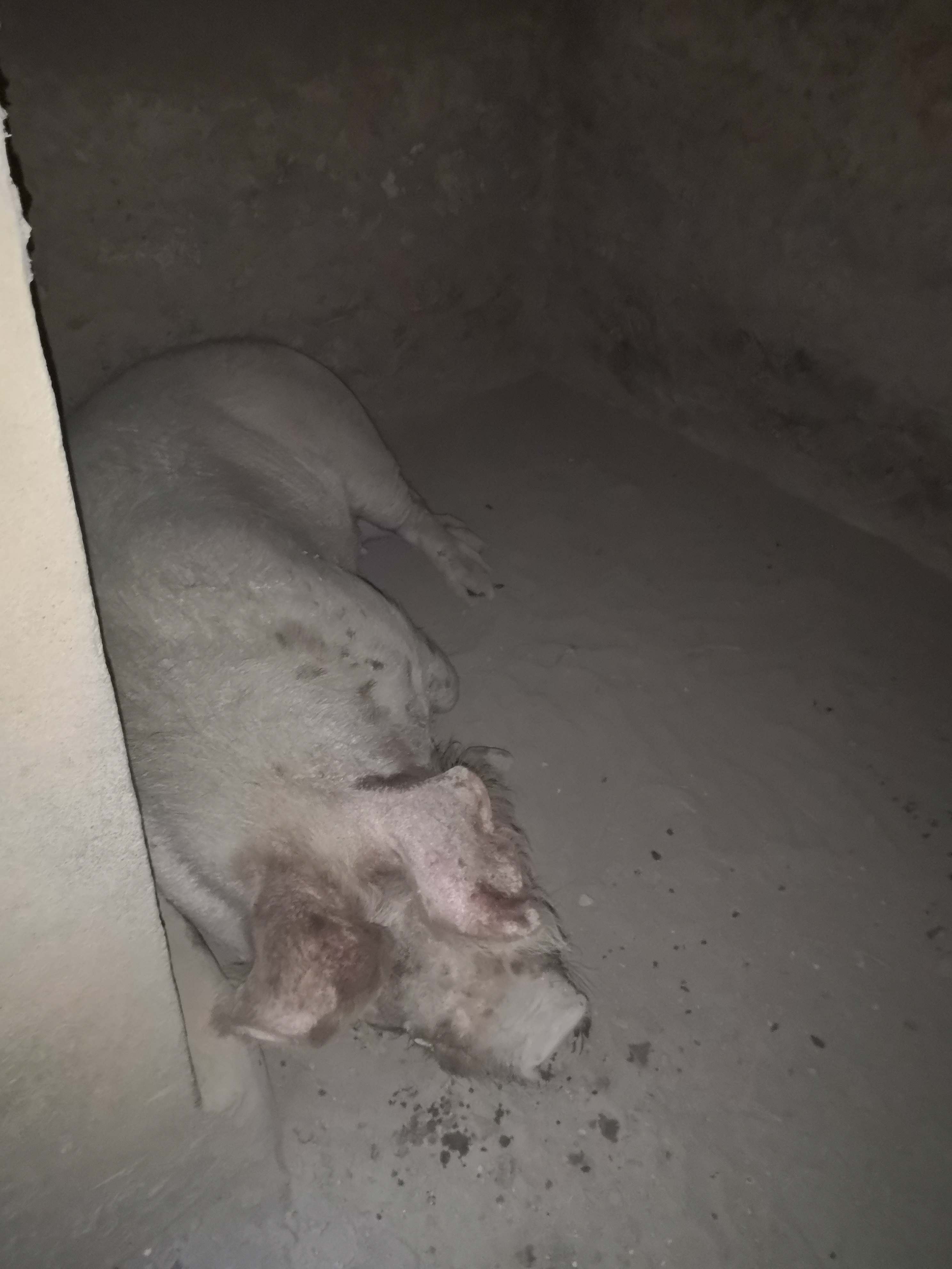 Photo n° 1 de l'avis de Olivier.o fait le 01/08/2021 à 14:40