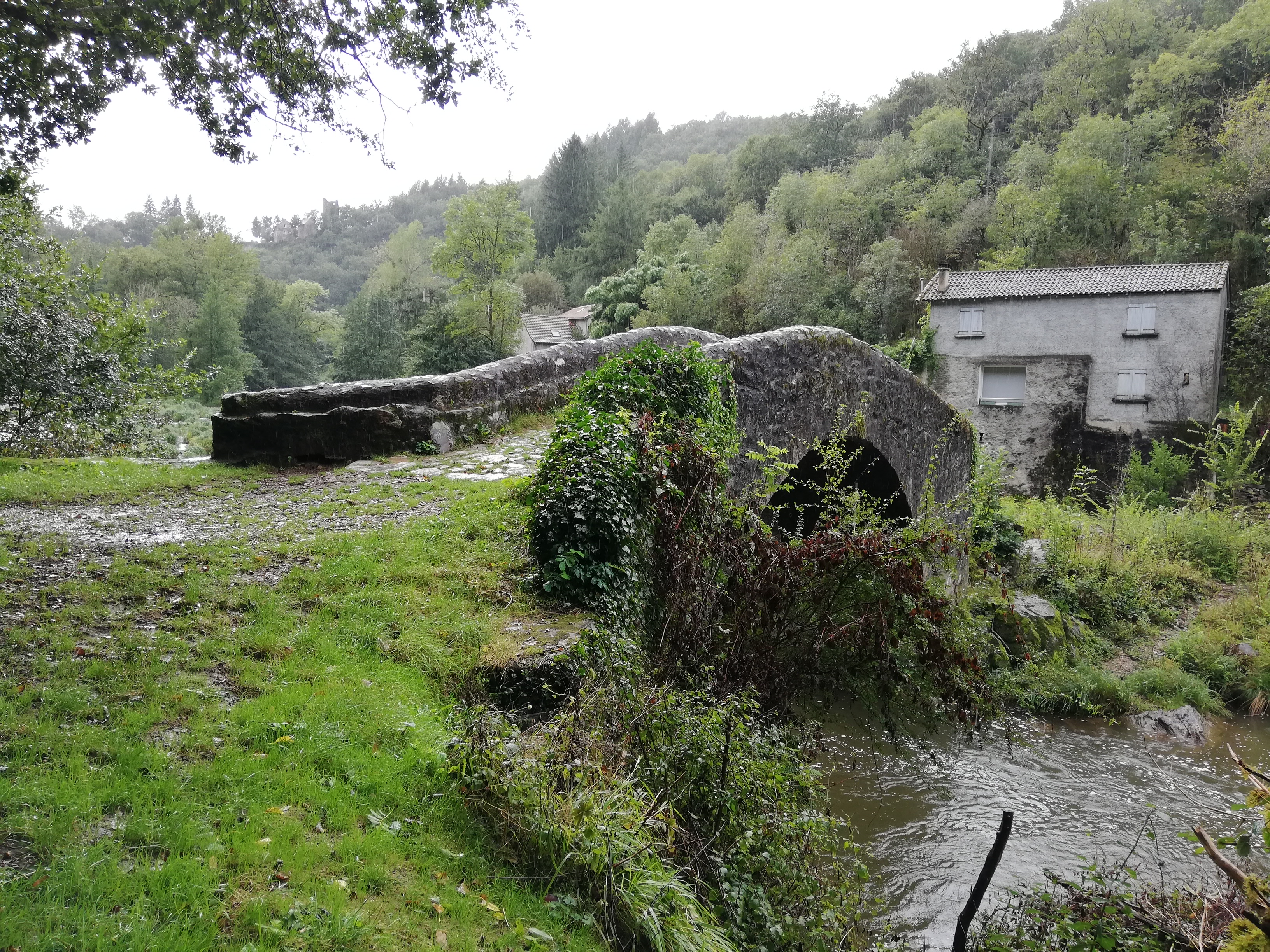 Photo n° 3 de l'avis de Lorene.o fait le 21/09/2021 à 16:18
